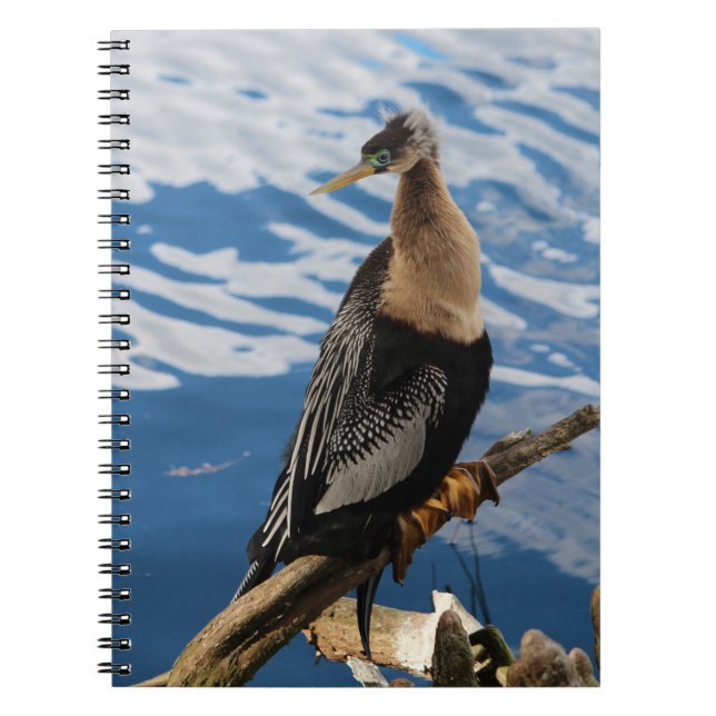 Caderno Espiral Notebook Anhinga Bird Foto Espiral (Frente)