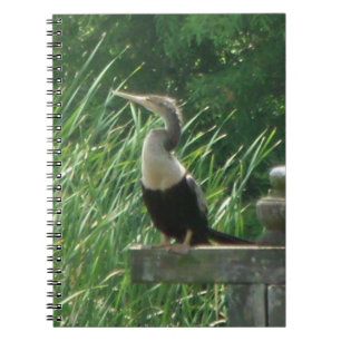 Caderno Espiral Notebook Anhinga Bird Spiral