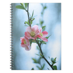 Caderno Espiral Notebook Apple Blossom #P0365