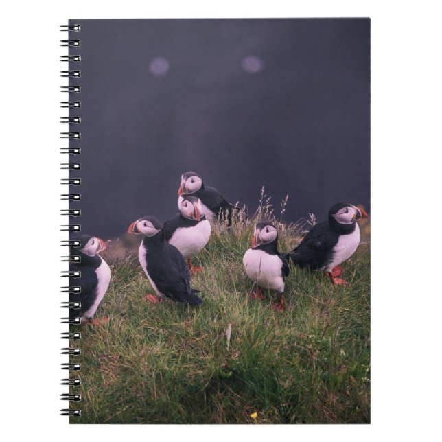 Caderno Espiral Notebook Atlantic Puffins (Frente)