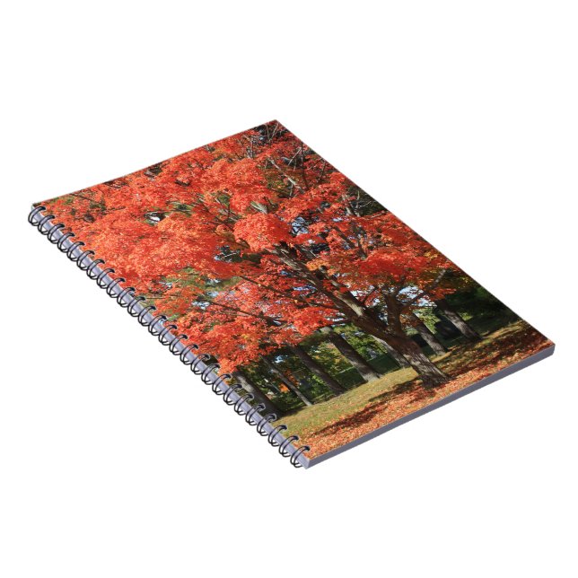 Caderno Espiral Notebook Autumn Maple Spiral (Lado Direito)
