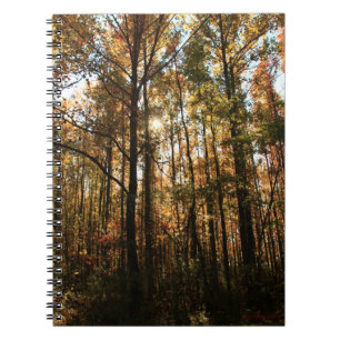 Caderno Espiral Notebook Autumn Trees #3855