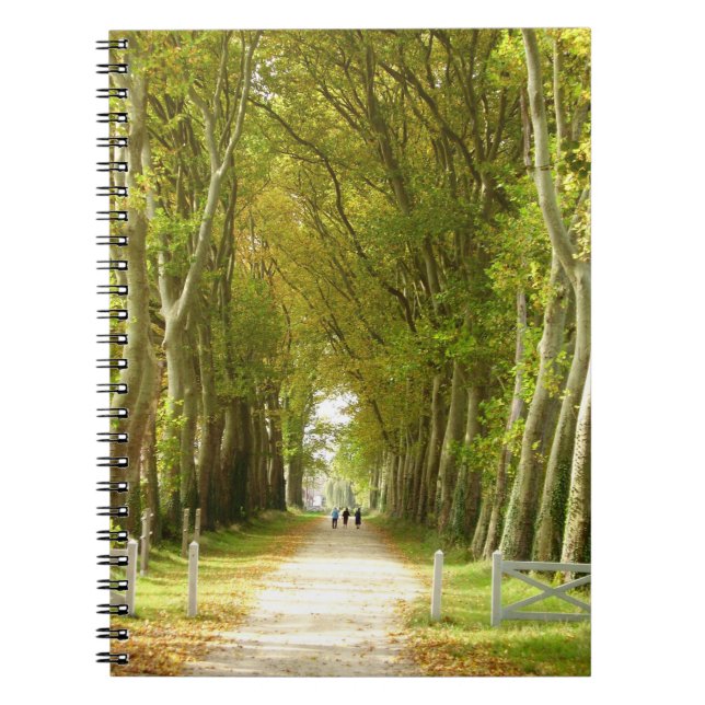 Caderno Espiral Notebook Avenue of Trees Photo (Frente)