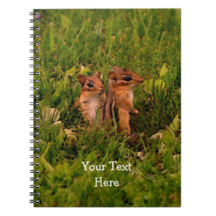 Caderno Espiral Notebook Baby Chipmunks Animal Nature Art