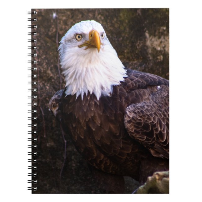 Caderno Espiral Notebook Bald Eagle (Frente)