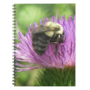 Caderno Espiral Notebook Bee Thistle