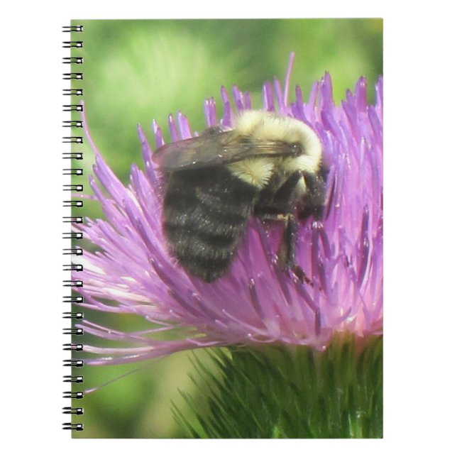 Caderno Espiral Notebook Bee Thistle (Frente)