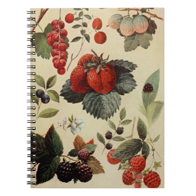 Caderno Espiral notebook BERRIES BERRIES (Frente)