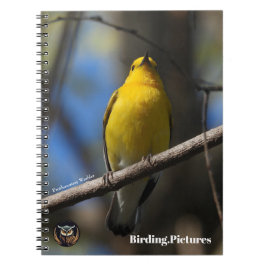 Caderno Espiral Notebook Birding.Pictures