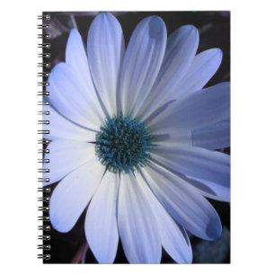 Caderno Espiral Notebook Blue Daisy Flower