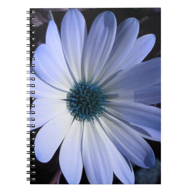 Caderno Espiral Notebook Blue Daisy Flower (Frente)