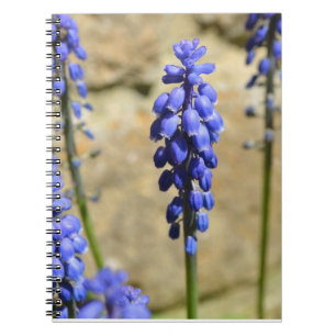 Caderno Espiral Notebook Blue Muscari Flowers