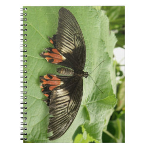 Caderno Espiral Notebook bonito, vermelho e borboleta Dourada