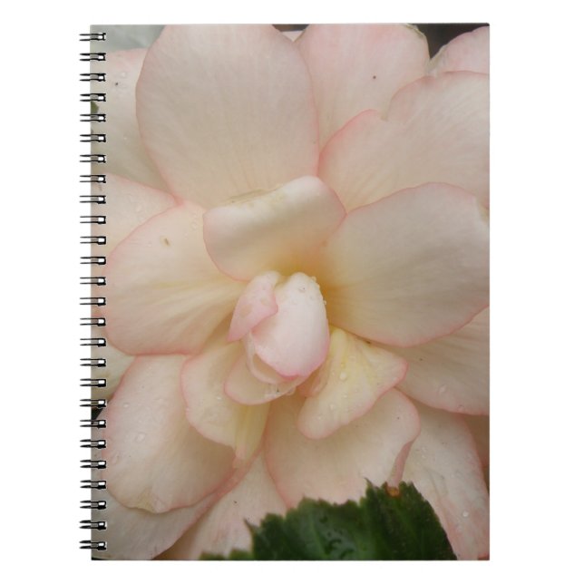 Caderno Espiral Notebook branco begonia (Frente)