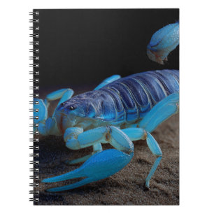 Caderno Espiral Notebook Brilhante Azul Scorpion