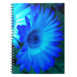 Caderno Espiral Notebook Brilliant Blue Daisies