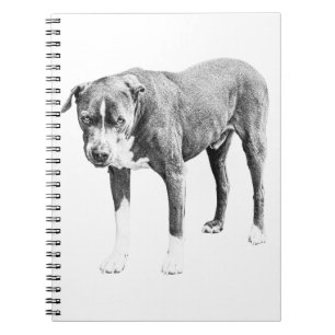 Caderno Espiral Notebook Bull Planos de inverno