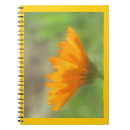 Caderno Espiral Notebook - Calendário