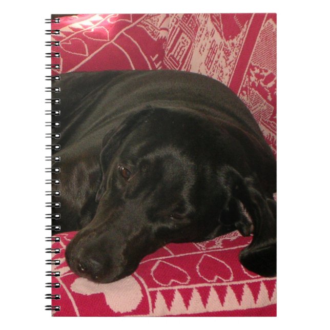 Caderno Espiral Notebook Cão Sonolento (Frente)