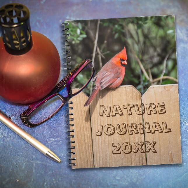Caderno Espiral Notebook Cardinal (Pássaro Vermelho) (Red Cardinal Journal)