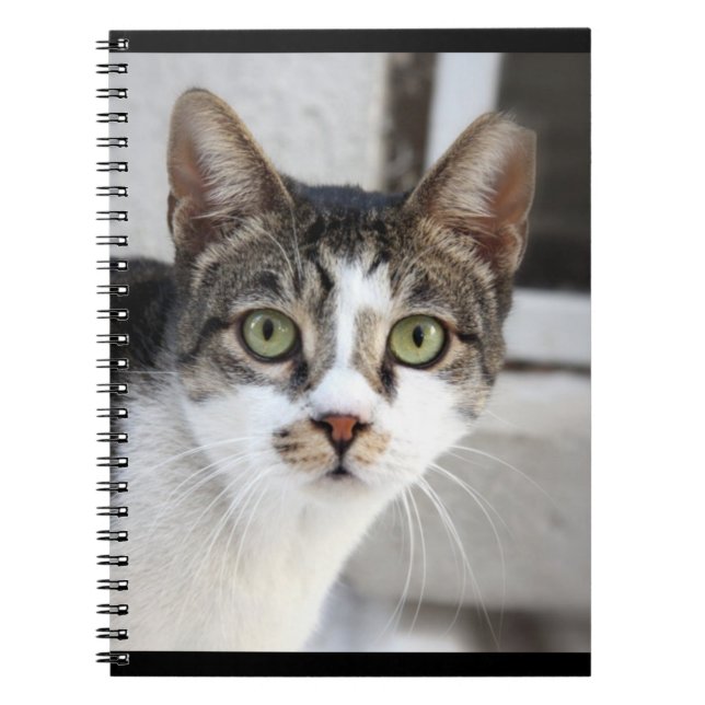 Caderno Espiral Notebook Cat (Frente)
