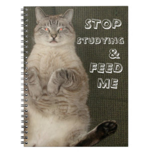 Caderno Espiral Notebook Cat "PARE DE ESTUDAR E ME ALIMENTAR"