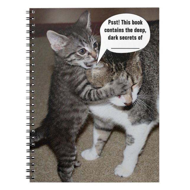 Caderno Espiral Notebook Cats de Cute Personalizável (Frente)