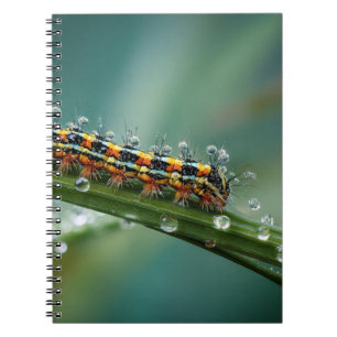 Caderno Espiral Notebook Colorido de Refrigeração