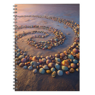 Caderno Espiral Notebook Colorir Seashell Spiral Beach