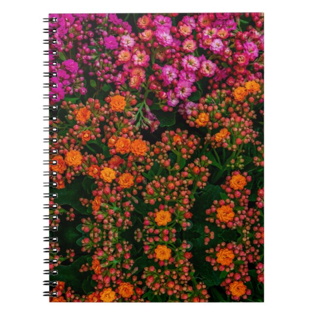 Caderno Espiral Notebook Colorous Flowers (Frente)
