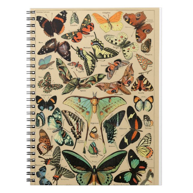 Caderno Espiral Notebook com borboleta/cartazes (Frente)