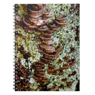 Caderno Espiral Notebook com Cogumelos Verdes e Castanhos