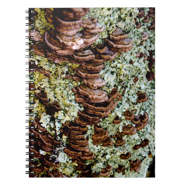 Caderno Espiral Notebook com Cogumelos Verdes e Castanhos (Frente)