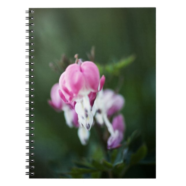 Caderno Espiral Notebook com Corações Quebrados (Frente)