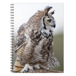 Caderno Espiral Notebook com Coroa excelente Foto 9x6