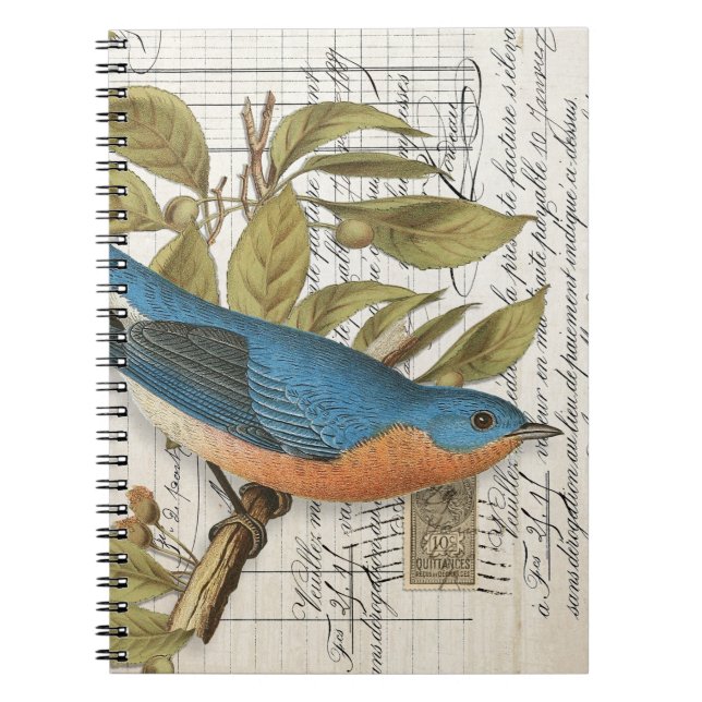 Caderno Espiral Notebook com Diário espiral Bluebird francês Vinta (Frente)