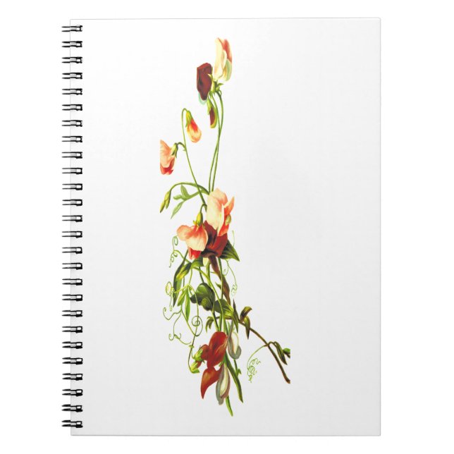 Caderno Espiral Notebook com Flor do Mês de Nascimento, Floral Per (Frente)