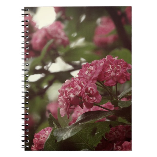 Caderno Espiral Notebook com flores cor-de-rosa Fotografar Blosoom (Frente)