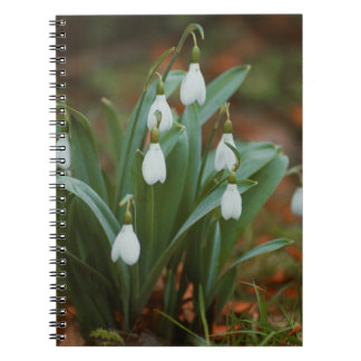 Caderno Espiral Notebook com flores em neve Espiral Foto