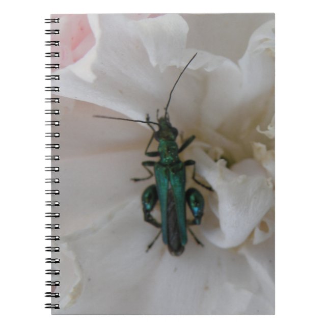 Caderno Espiral Notebook com Flower Beetle (Frente)