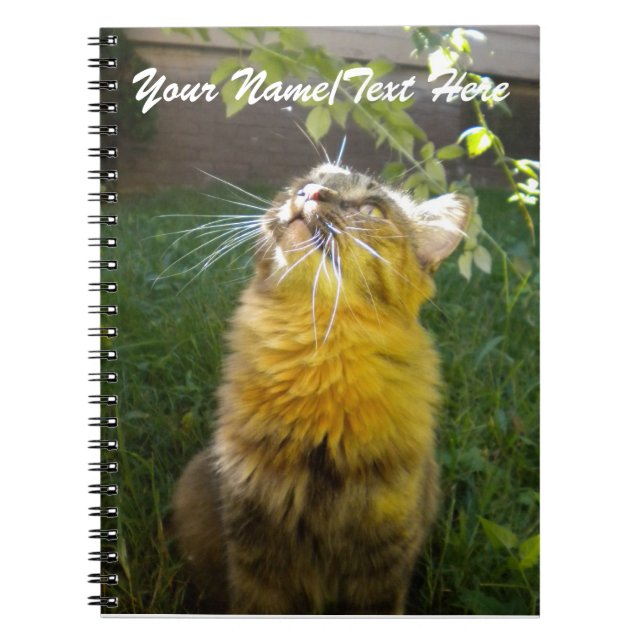 Caderno Espiral Notebook com Gatinho de precioso (Frente)