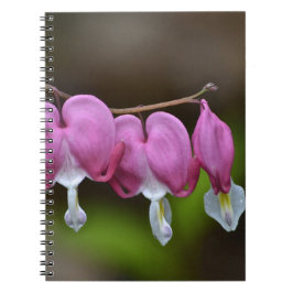 Caderno Espiral Notebook com hemorragia cardíaca