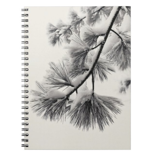 Caderno Espiral Notebook com ramificação de Agulha do Snowy Pine (Frente)