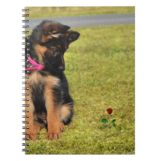 Caderno Espiral Notebook com shepard alemão admirando uma rosa