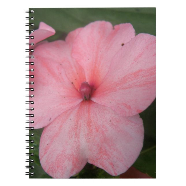 Caderno Espiral Notebook com taxa de impacto rosa pálida (Frente)