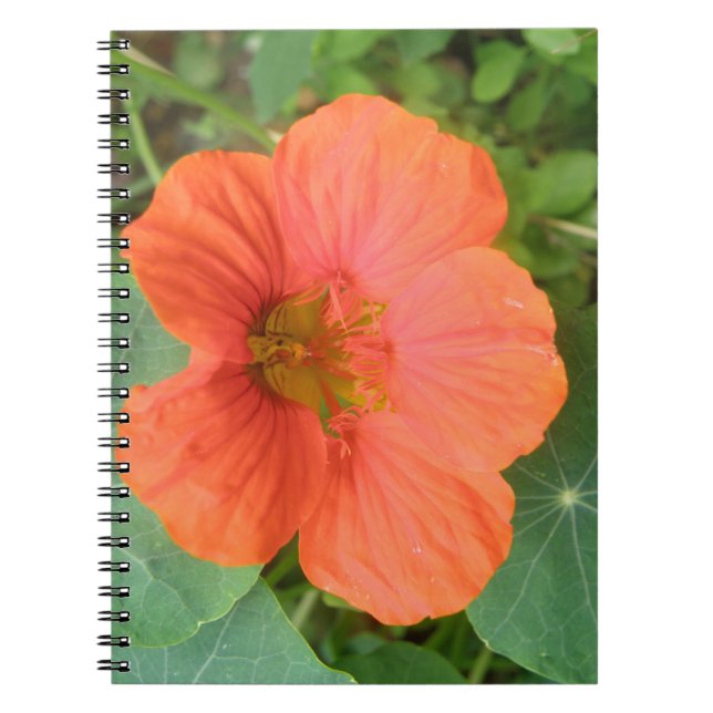 Caderno Espiral Notebook com ventilador de Nasturtium laranja (Frente)