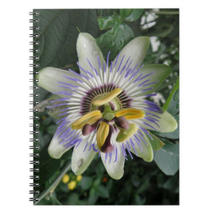 Caderno Espiral Notebook com ventilador de paixão