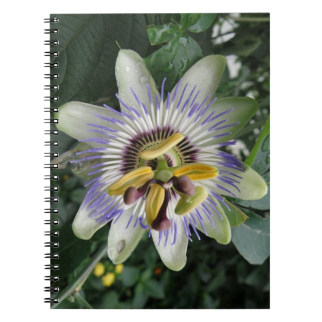 Caderno Espiral Notebook com ventilador de paixão (Frente)