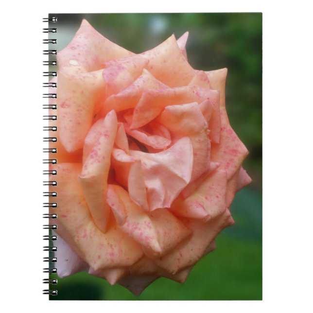 Caderno Espiral Notebook com ventilador de Rosa de pêssego movido (Frente)