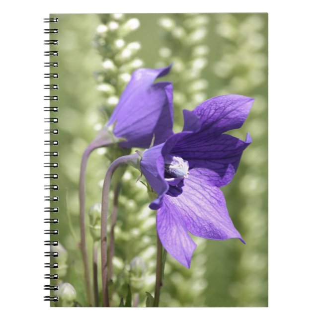 Caderno Espiral Notebook com verde suave e flor púrpura (Frente)